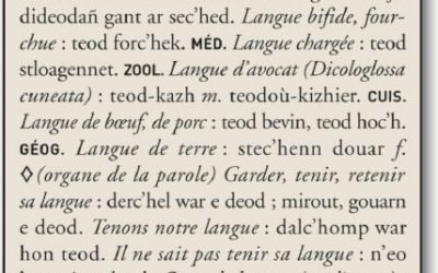 Traduction : CG Traduction & Interprétation s’enthousiasme pour la publication du plus grand dictionnaire français-breton depuis 1464 !