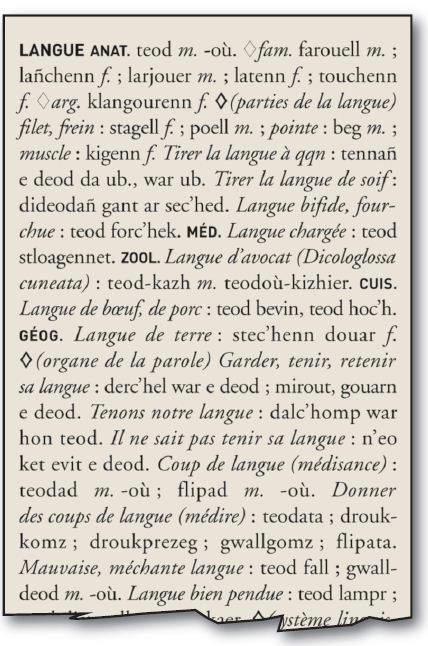 Traduction : CG Traduction & Interprétation s’enthousiasme pour la publication du plus grand dictionnaire français-breton depuis 1464 !